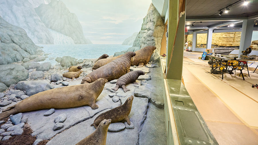 Panorama preservation: Alumni gift helps restore iconic exhibition