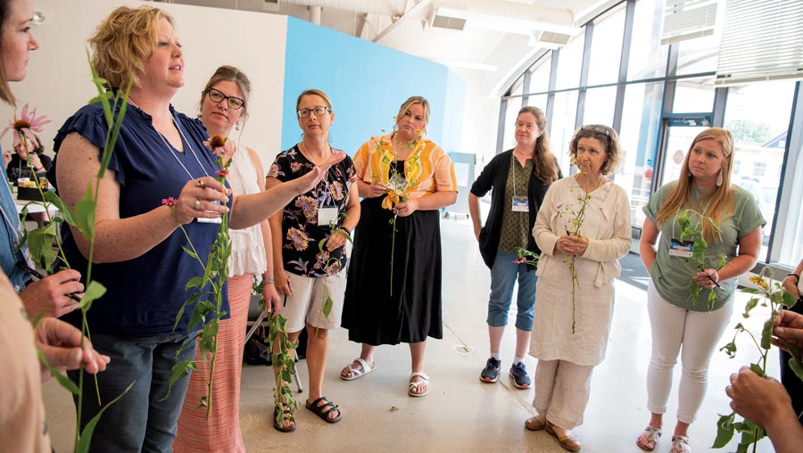 Spencer Museum of Art program serves teachers across Kansas