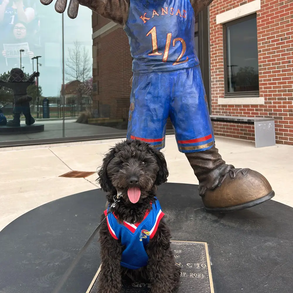 Pet of the Month Lenny