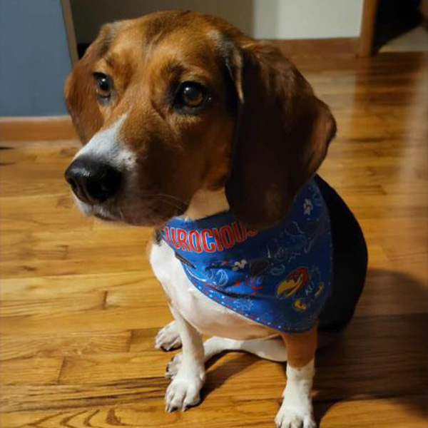 Ruthie, the Nov. 2025 pet of the month