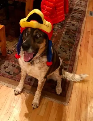 Cassidy, the March 2026 Pet of the Month