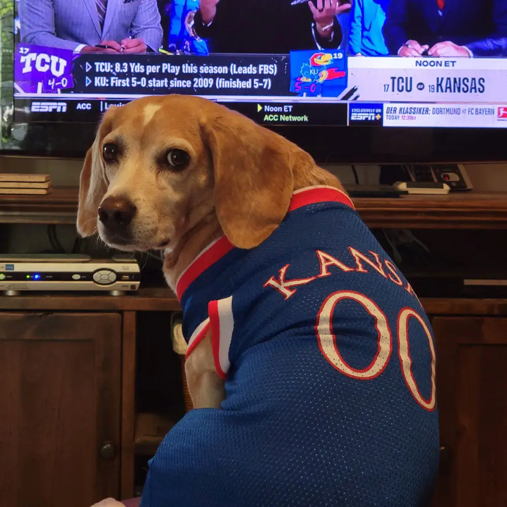 Pet_Month_June-2026