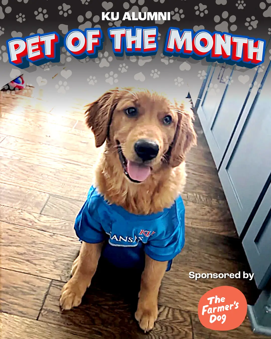 July 2026 Pet of the Month